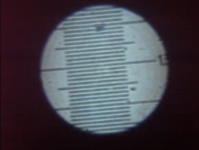 Снимок под микроскопом