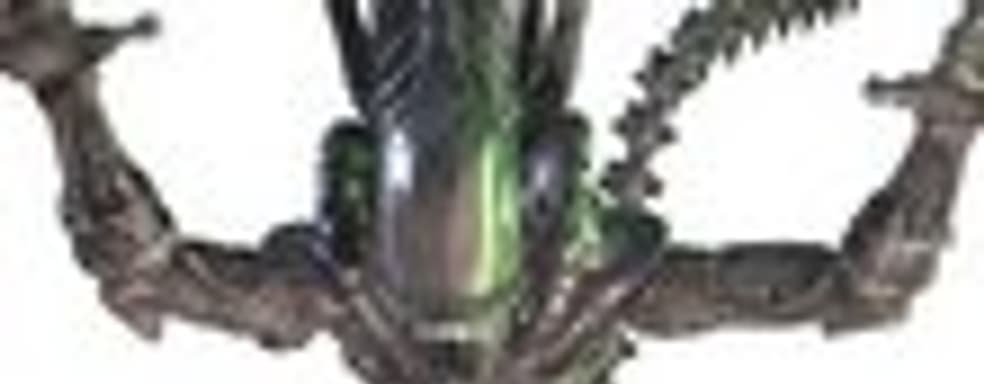 Слух: Aliens Infestation в разработке