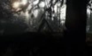 The Forest выйдет на PS4