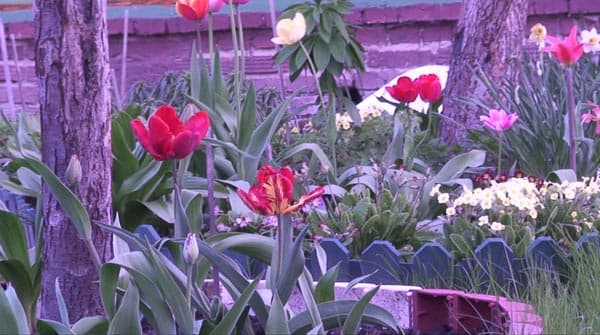 Посмотреть в полный размер, 280 КБ