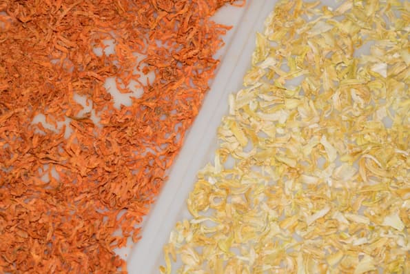 Дегидратор Rawmid Dream Vitamin DDV-10