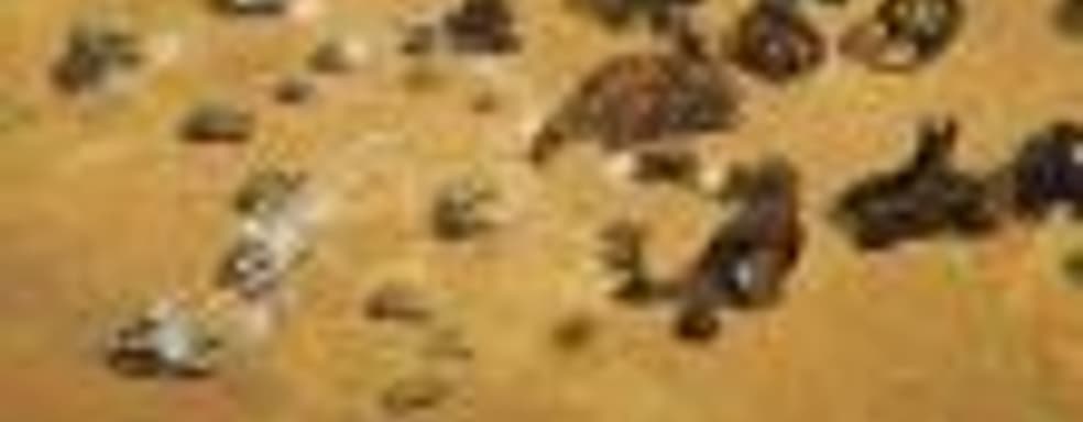 Представлена стратегия Reconquest