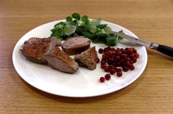 Вакууматор Status SV2000