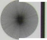 Мира, фрагменты