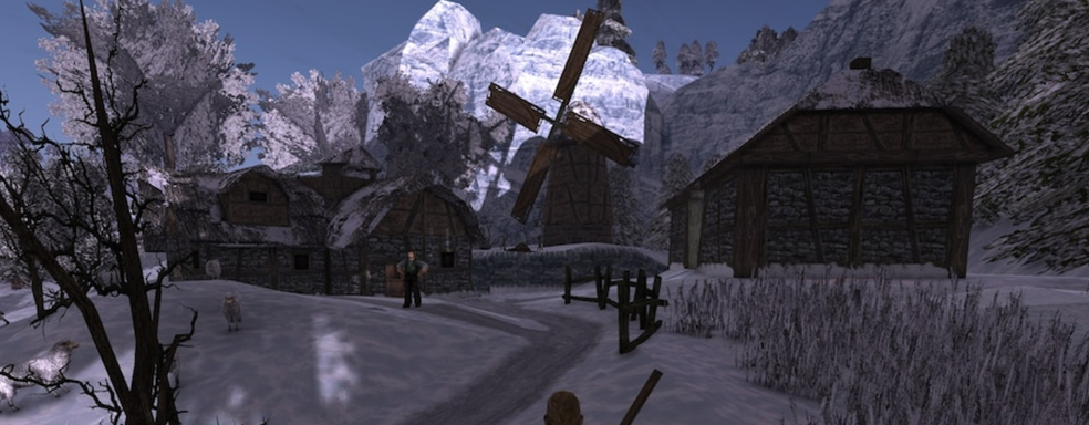 Завершился благотворительный стрим Gothic 2, привлёкший в 343 раза больше средств, чем ожидалось. Пришлось «оседлать дракона» и стримить из бассейна