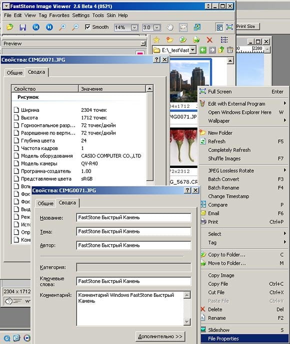 FastStone Image Viewer 