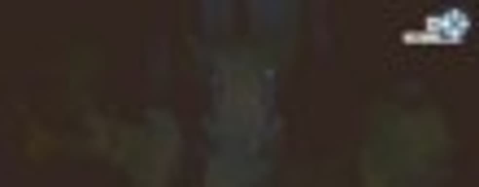 Gamescom-демонстрация Below