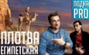 [5.42] PRO Games Podcast: Egyptian Roach