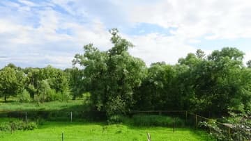 Видеокамера Sony HDR-PJ620