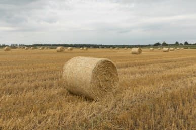 1/100 c, с профилем