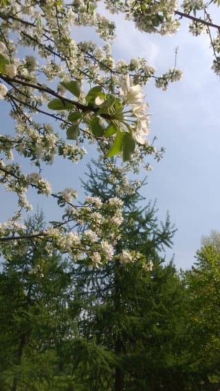 Внешняя камера Внешняя камера