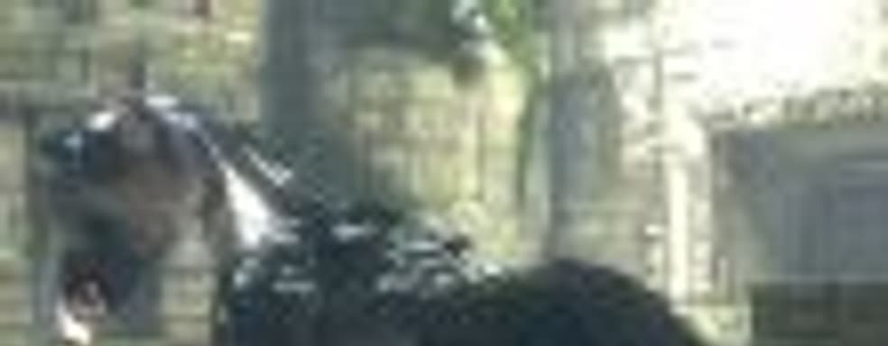 Фумито Уэда заявил, что изначально разработчики планировали сделать The Last Guardian за небольшой срок 