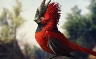 Тур по офису CDPR, зарплаты больших боссов Nintendo — самое интересное за 21 июля