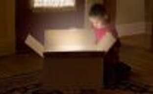 Dutch Authorities May Ban Some Games with Containers