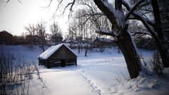 Видеосъемка фотоаппаратом Panasonic DMC-FZ300