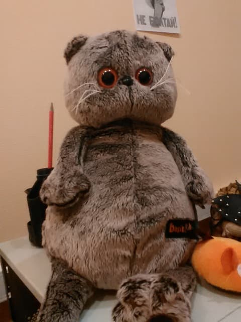 Обзор Highscreen Omega Prime S. Демонстрационный снимок