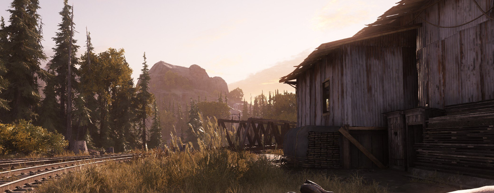 Разработчики Hunt Showdown 1896 спросили фанатов о будущем игры — Crytek опубликовала результаты опроса