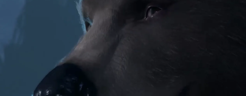 Baldur's Gate 3 creators banned from TikTok for intimate video with a bear, but restrictions were soon lifted