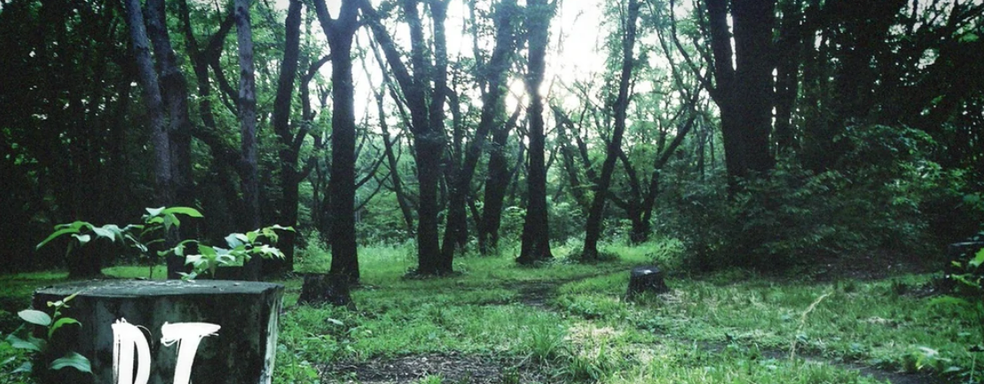 Сотрудница Konami, удалившая тизер Silent Hills P.T., рассказала, а затем скрыла свою историю