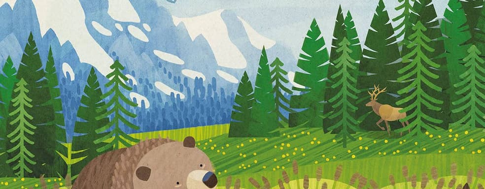 В России выпустили настольную игру «Маленькая Каскадия» и промонабор к дополнению «Каскадия: Ориентиры»