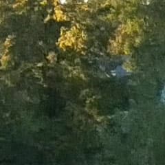 Видеосъемка фотоаппаратом Panasonic DMC-G7