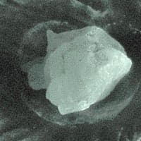 фрагмент, УФ лампа, ночной режим