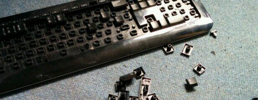 Учёные доказали, что токсичность — это неотъемлемая часть онлайн-сообществ