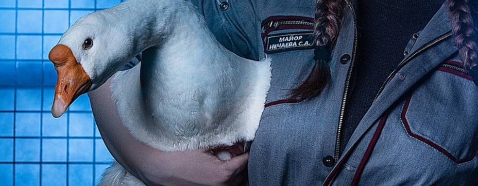 Гусь-косплеер Atomic Heart заработал больше фотографа: российская модель представила женский образ майора Нечаева