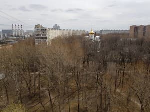 Смартфон Samsung Galaxy S8+