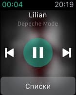 DS audio на Apple Watch DS audio на Apple Watch