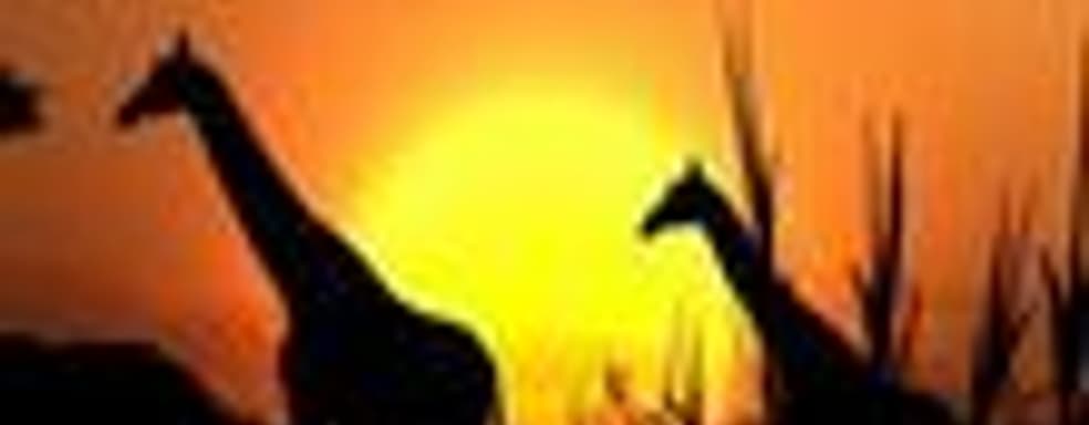 Японские игровые продажи (25-31 августа 2008)