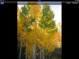 Программа GoFlex Media на iOS