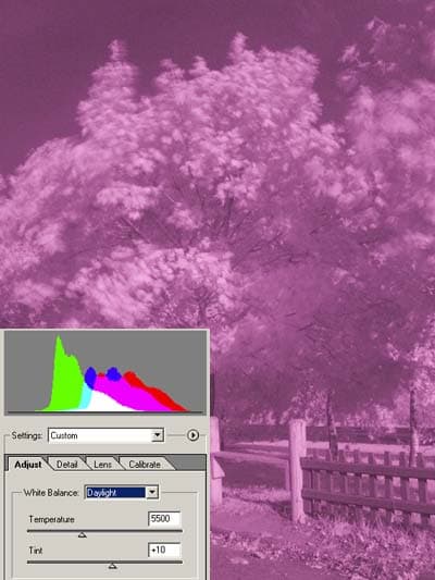 Снимок с фильтром ИКС 1