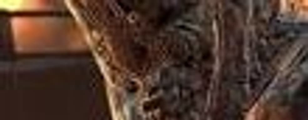 Gears of War 2 на вершине UK Top10, LittleBigPlanet добралась до 4-го места