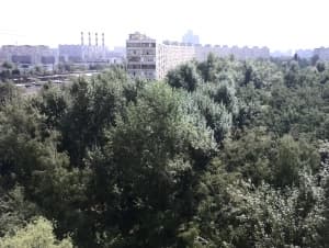 Пример снимка фронтальной камерой смартфона Huawei Ascend P6