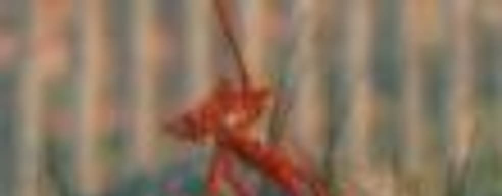 Возможные даты выхода Alienation, Shadow of The Beast и Unravel