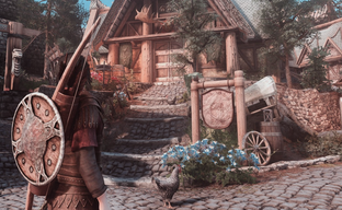 Bethesda выпустит очередное переиздание TES V Skyrim? Фанатов заинтриговали маленьким изменением профиля компании