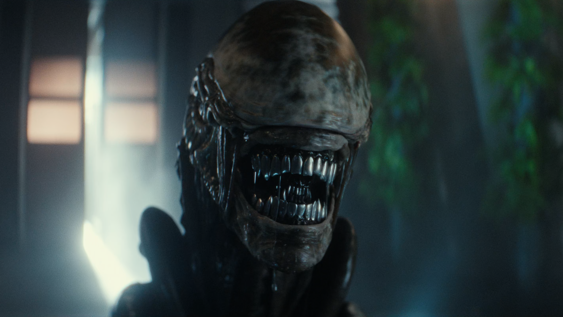 Кадр из сериала «Чужой: Земля»