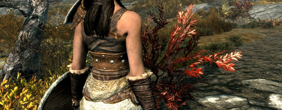 «Тодд Говард не любит странности»: создатель TES 3 Morrowind представил своё виденье будущей The Elder Scrolls 6