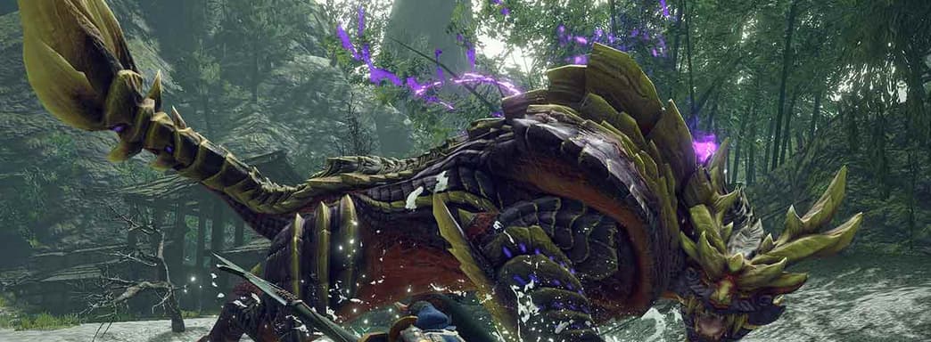 Глава компании дал сотрудникам выходной в связи с выходом Monster Hunter Rise