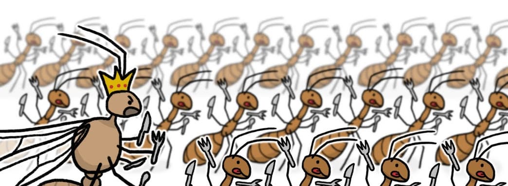 Системный блок геймера был захвачен муравьями