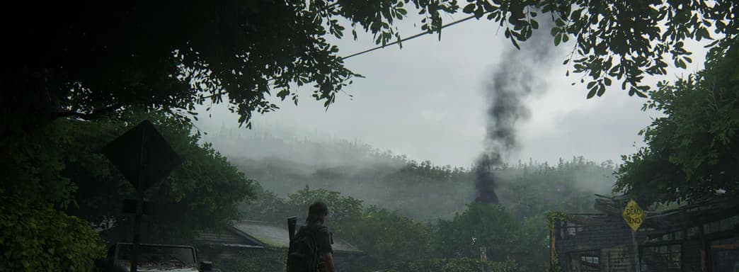 Как будет выглядеть The Last of Us 2 для PlayStation 5. Вариант от фаната