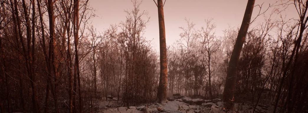 Демонстрацию «новой Silent Hill Кодзимы» Abandoned перенесли. Фанаты строят теории