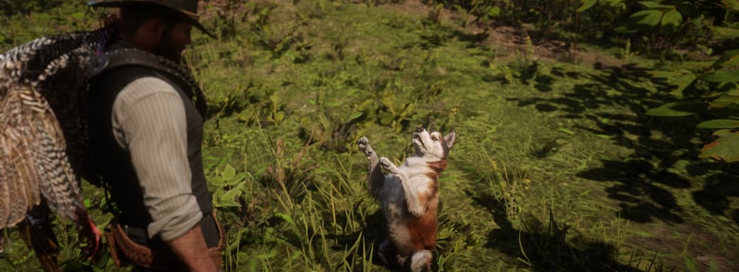В Red Dead Redemption 2 можно завести собаку с помощью мода