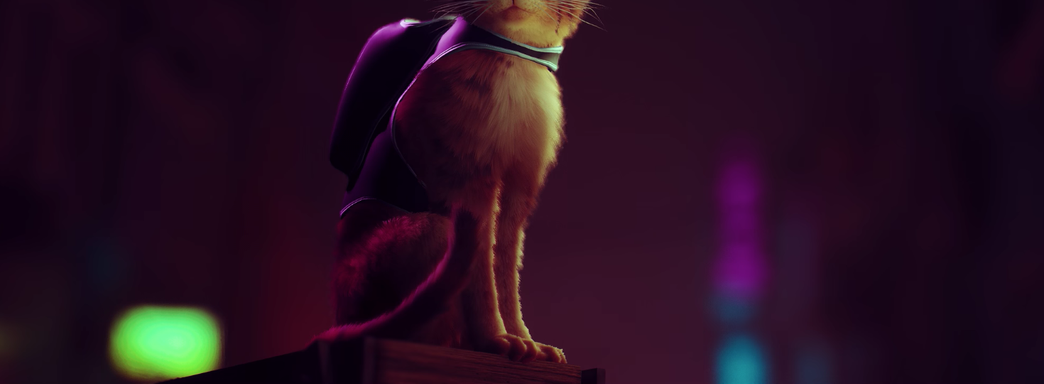 Дополнение для Outer Wilds, дата выхода Solar Ash и геймплей игры про котика Stray — что показали на презентации Annapurna Interactive