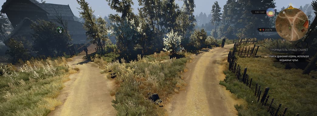 Играем в «Ведьмак 3» от первого лица. Необычный мод получил обновление