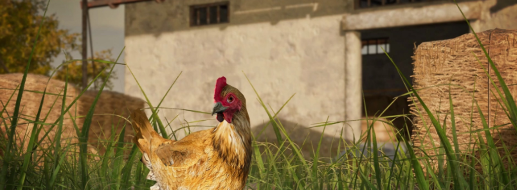 В PUBG появились куры, которые «сливают информацию» об игроках