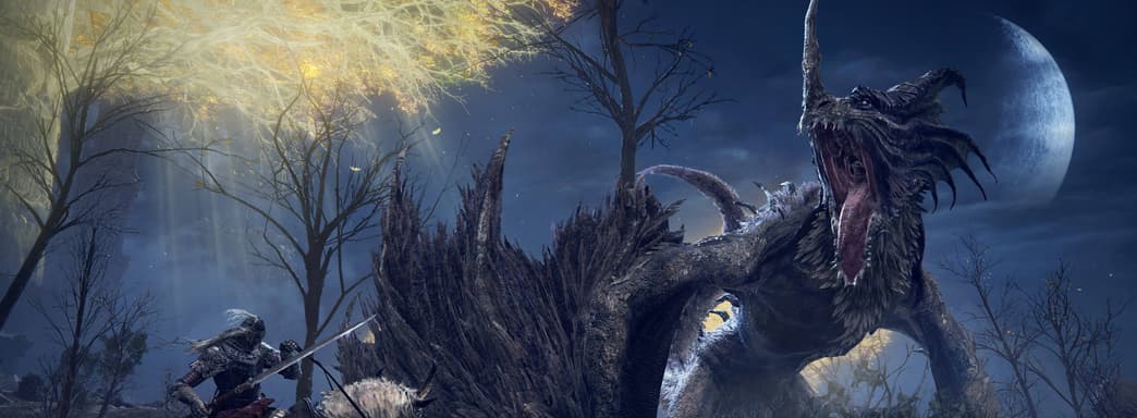 «Используя силу новых консолей». В Elden Ring на PS5 и Xbox Series X|S будет два режима графики