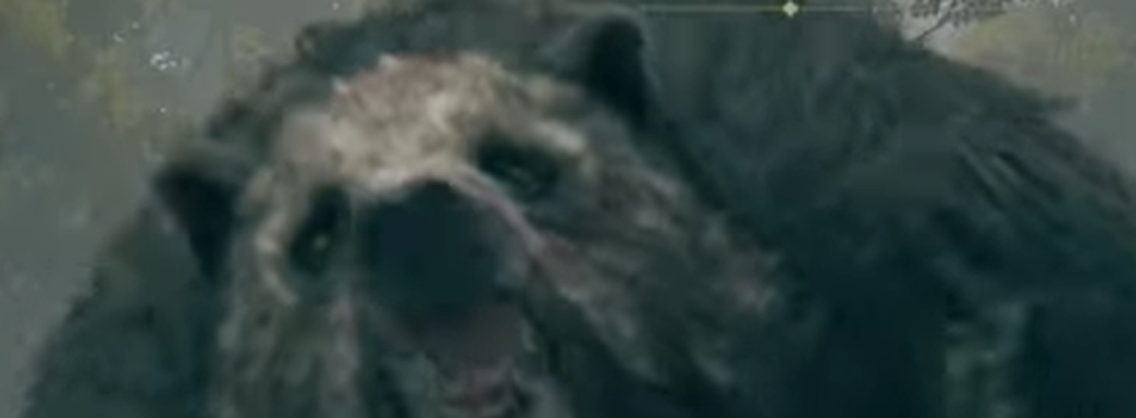 В Elden Ring обошли ограничение и показали скрытый контент: огромного медведя и босса