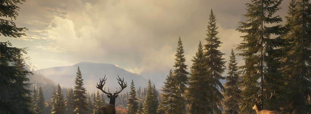 Epic Games Store раздаёт симулятор охотника. Названы следующие бесплатные игры